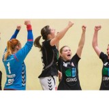 Presse:Union Halle gewinnt gegen Zwickau
