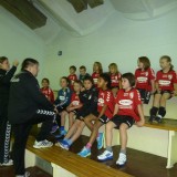 Minis: Endlich wieder Minihandball