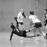 D-Jugend: Landesmeisterschaft 2016/2017 + Wismar Cup