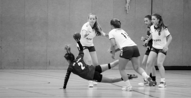 D-Jugend: Landesmeisterschaft 2016/2017 + Wismar Cup